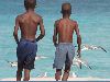 bahamian_boys_birds.jpg
