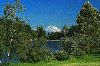 Filename=mount-ranier_seward-park-2.jpg
Filesize=39KB
Dimensions=350x232
Date added=Oct 25, 2005 mount-ranier_seward-park-2.jpg